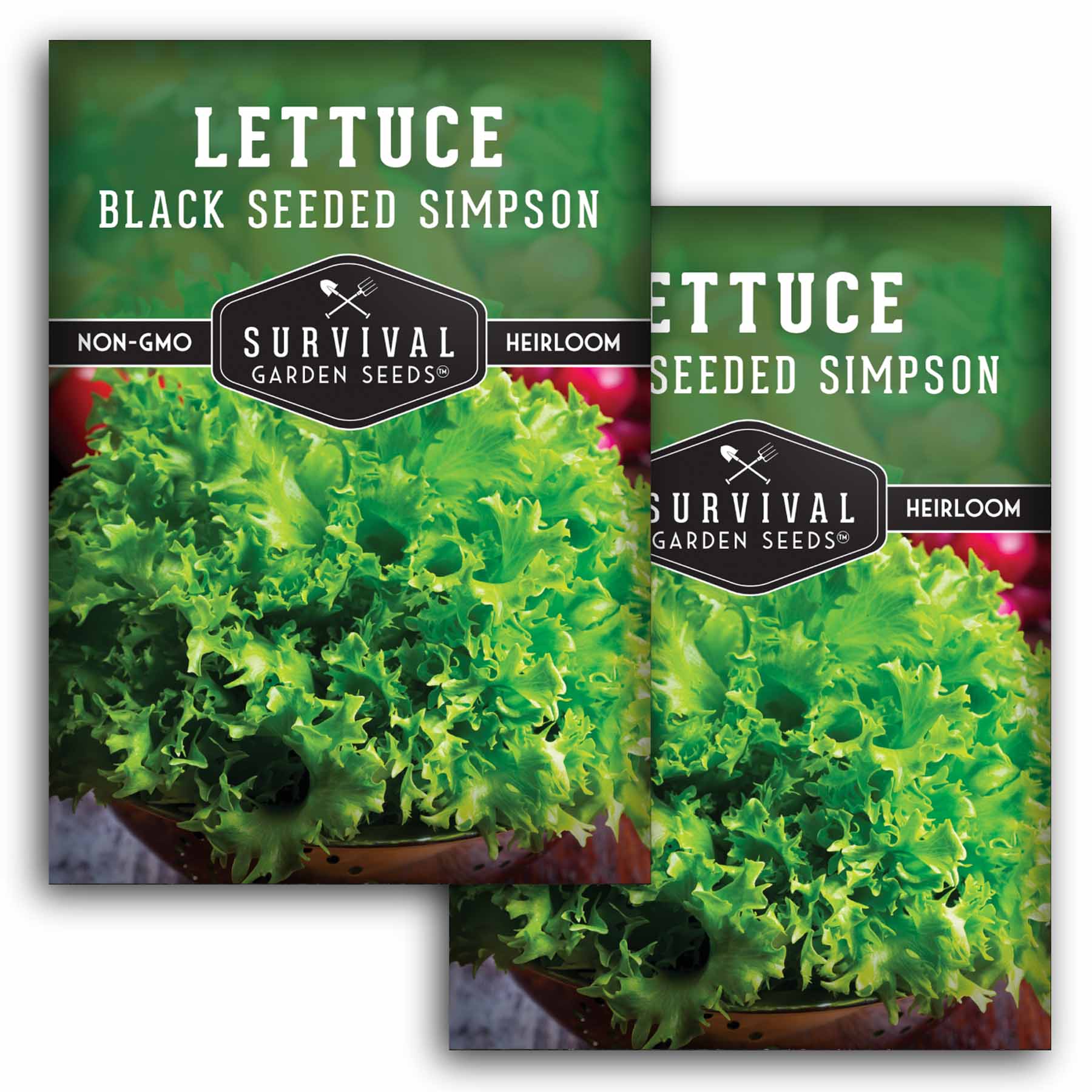 Black Seeded Simpson Lettuce For Rabbits at Samuel Stapleton blog