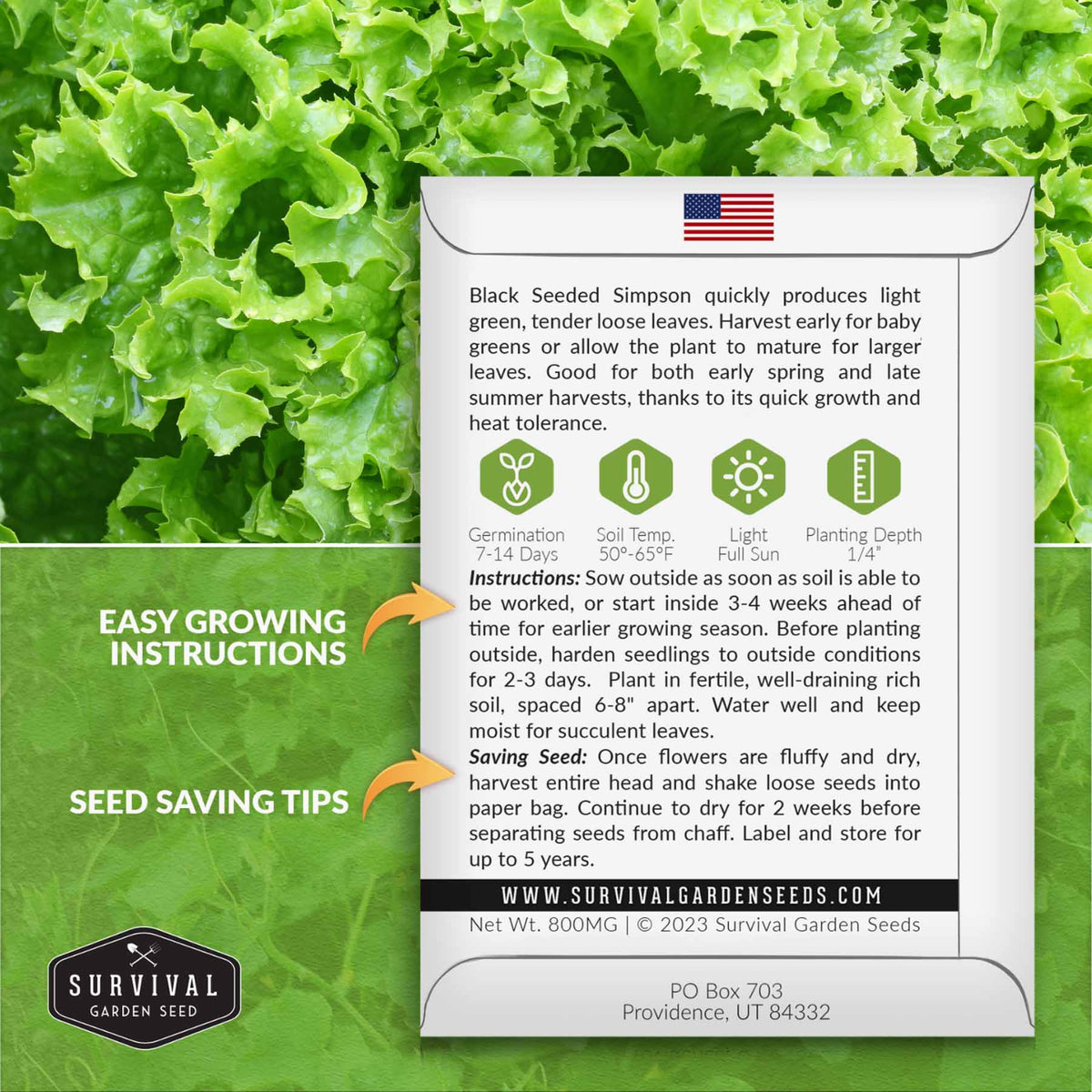 Lettuce seed growing instructions