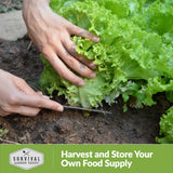 Harvest and store your own food supply