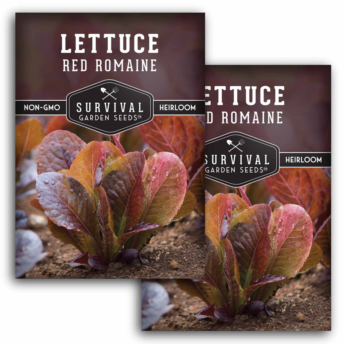 2 packets of Red Romaine Lettuce seeds