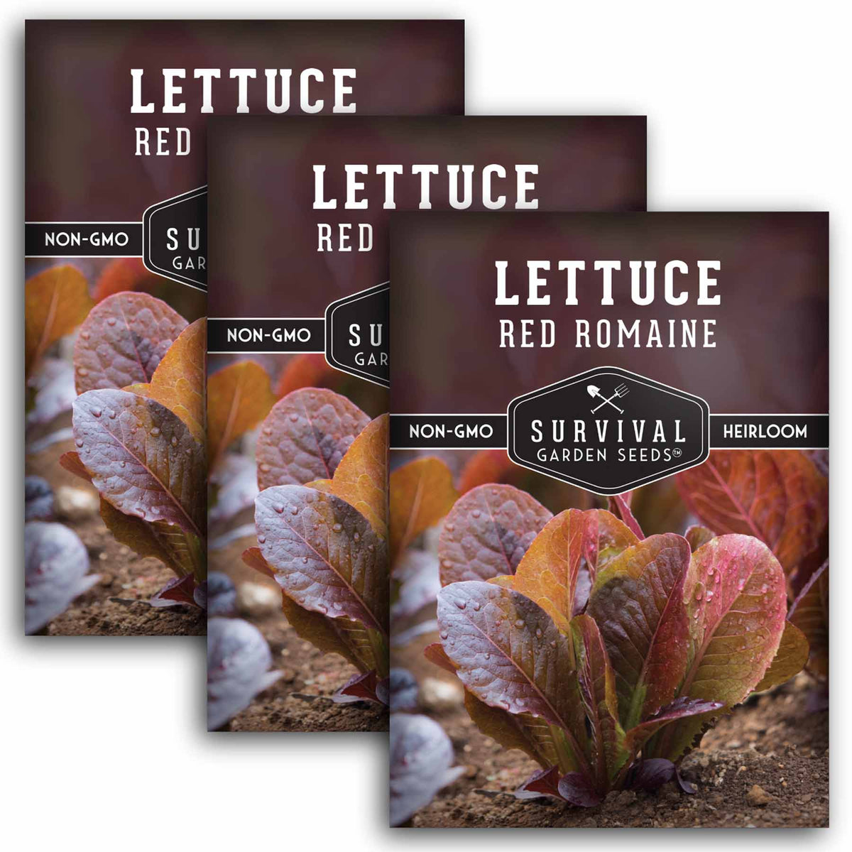 3 packets of Red Romaine Lettuce seeds