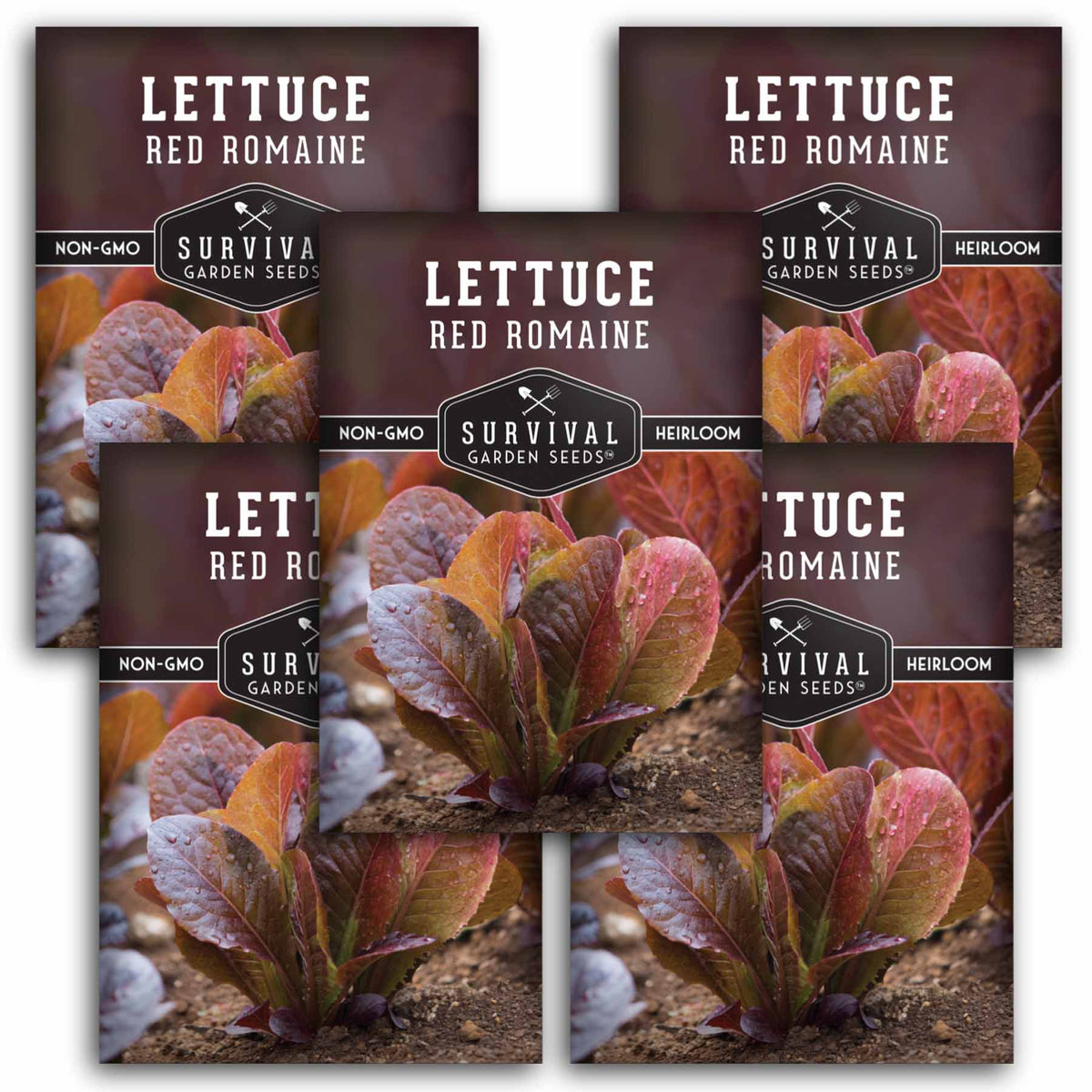 5 packets of Red Romaine Lettuce seeds
