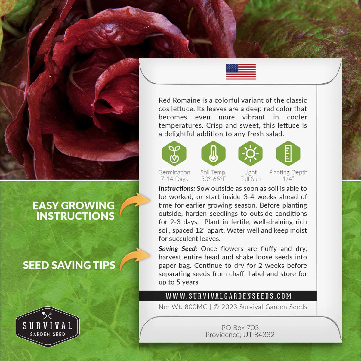 Red Romaine Lettuce growing instructions