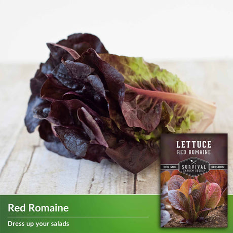 Red Romaine