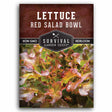 1 packet of Red Salad Bowl lettuce seeds