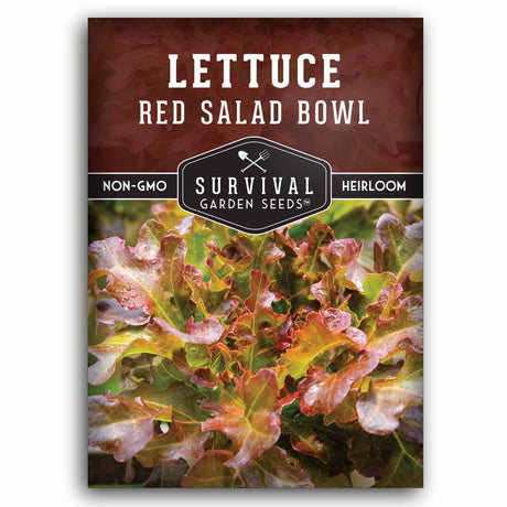 1 packet of Red Salad Bowl lettuce seeds