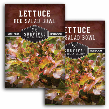 2 packets of Red Salad Bowl lettuce seeds