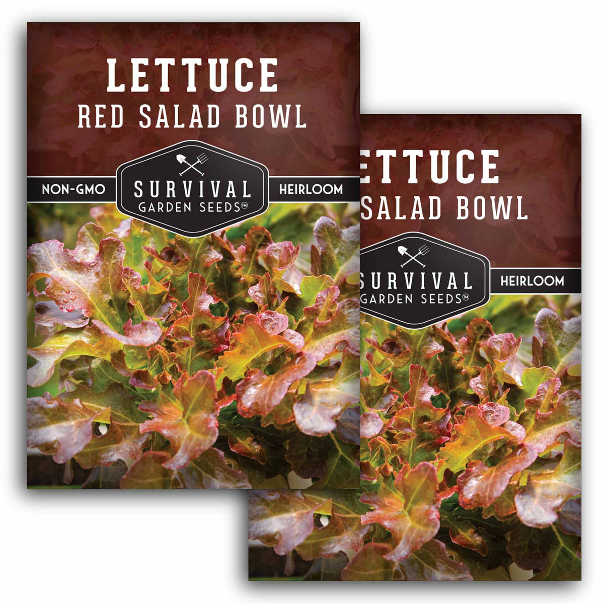 2 packets of Red Salad Bowl lettuce seeds