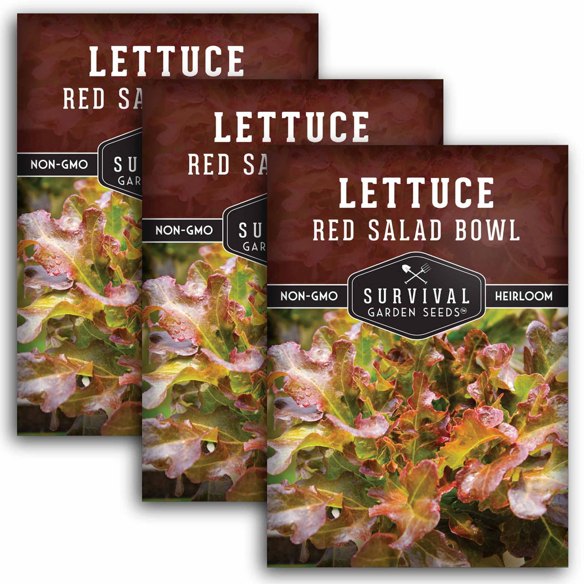 3 packets of Red Salad Bowl lettuce seeds