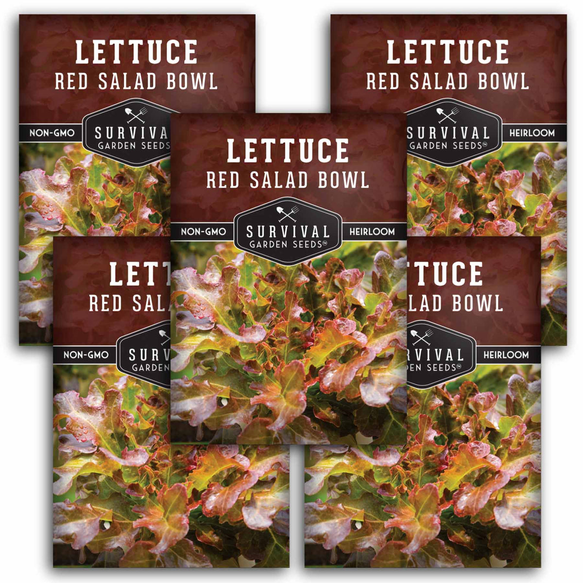 5 packets of Red Salad Bowl lettuce seeds