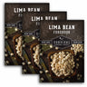 3 packets of Fordhook Lima Beans