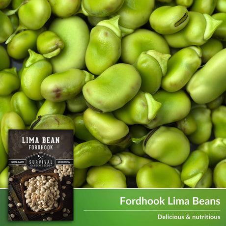 Fordhook Lima Beans