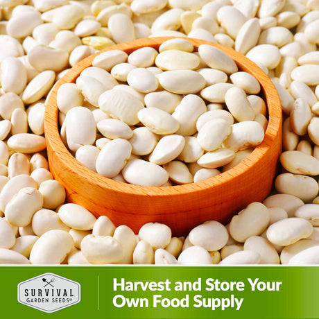 Harvest and store your own food supply