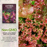 Non-GMO lettuce seeds for planting