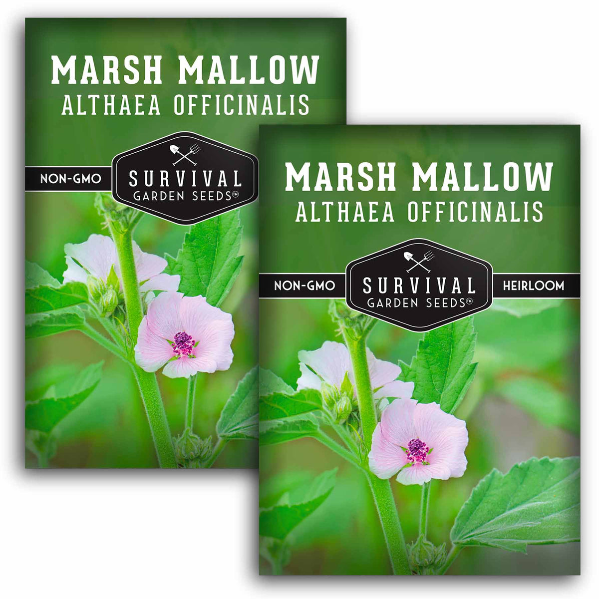 2 packets of Marsh Mallow seeds