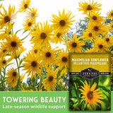 Maximilian Sunflower seeds packaging with sunflowers in the background