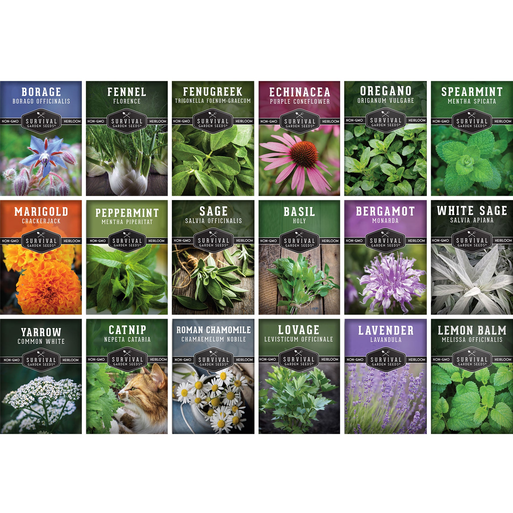 HERB EX 35mL2本&CREAM セット50g1本のセットおまけ付き 18 Medicinal Herb Seeds – Heirloom Non-GMO Kit – SurvivalGardenSeeds