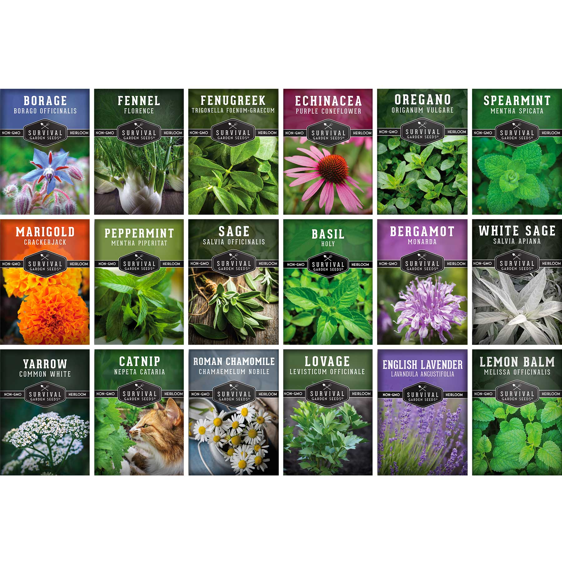 Medicinal-Herb-Collection-