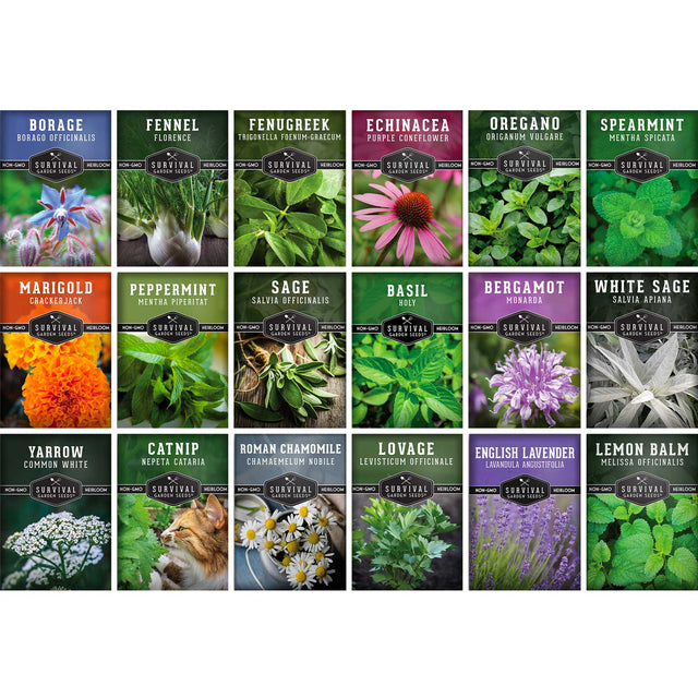 Collection of herb seed packets with images and names on a white background