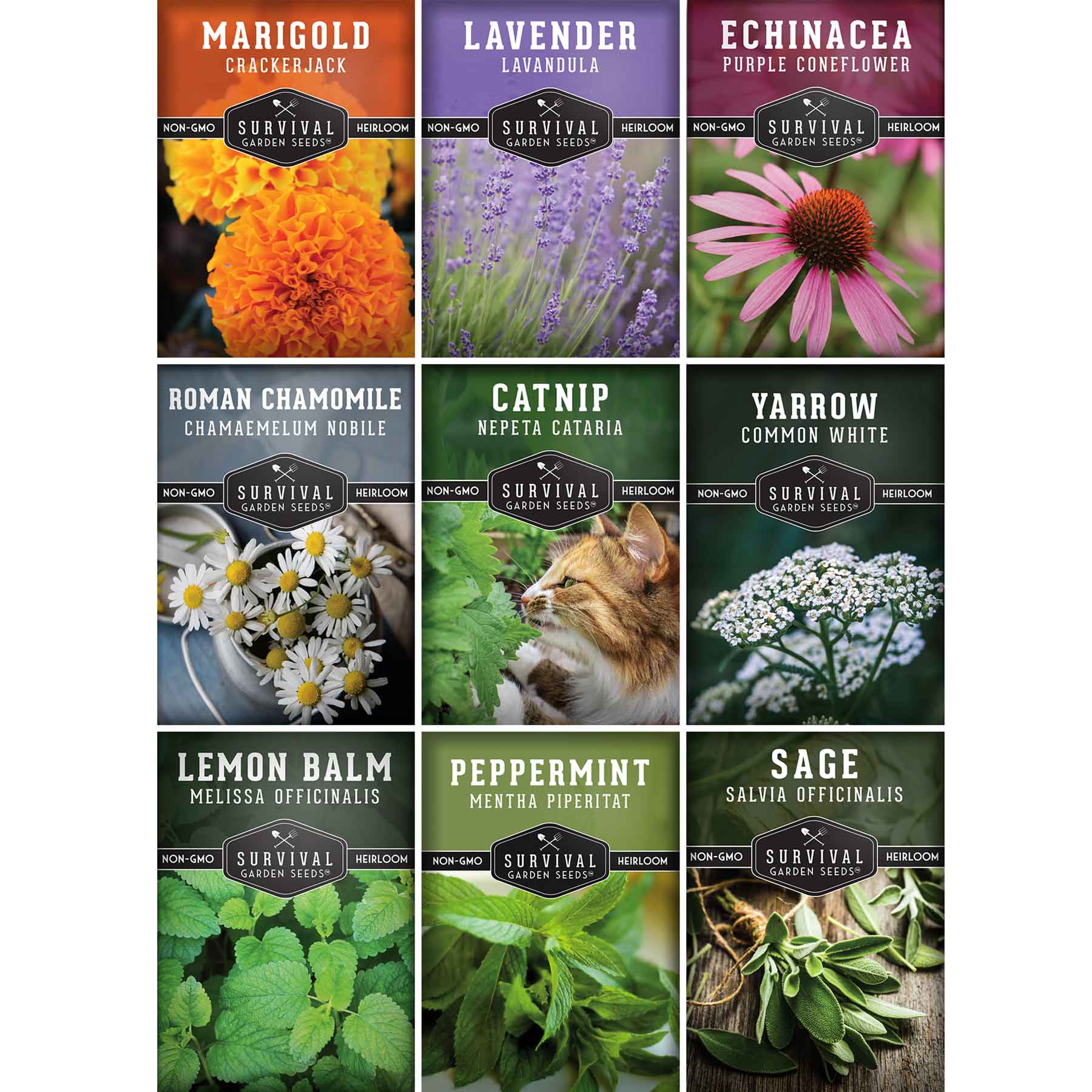 9 Medicinal Tea Herbs – Heirloom Non-GMO Seeds – SurvivalGardenSeeds