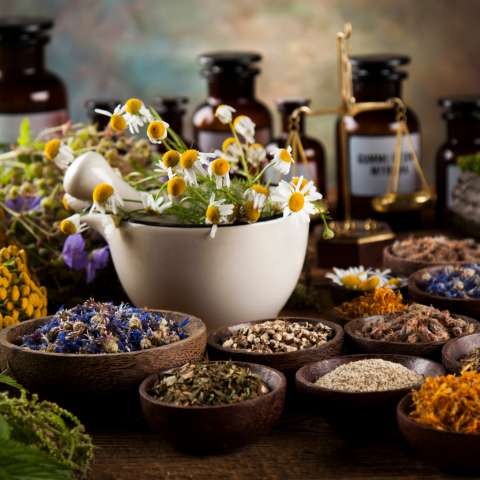 Medicinal herb seeds