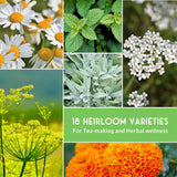 18 Heirloom Varieties of herb seeds