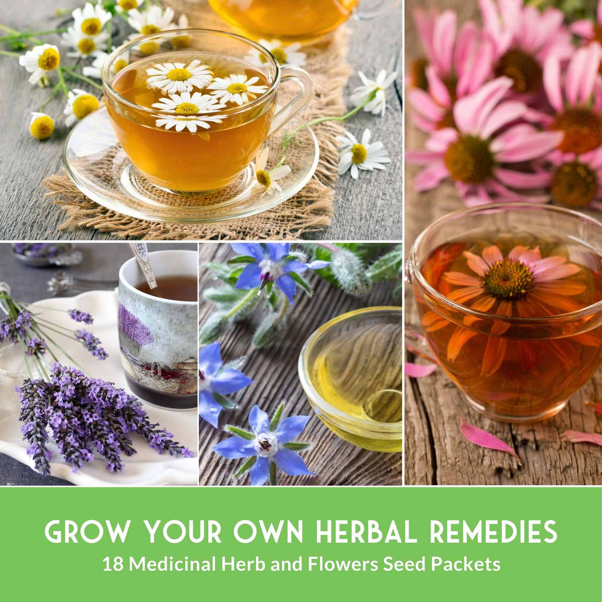 Grow Your Own Herbal Remedies