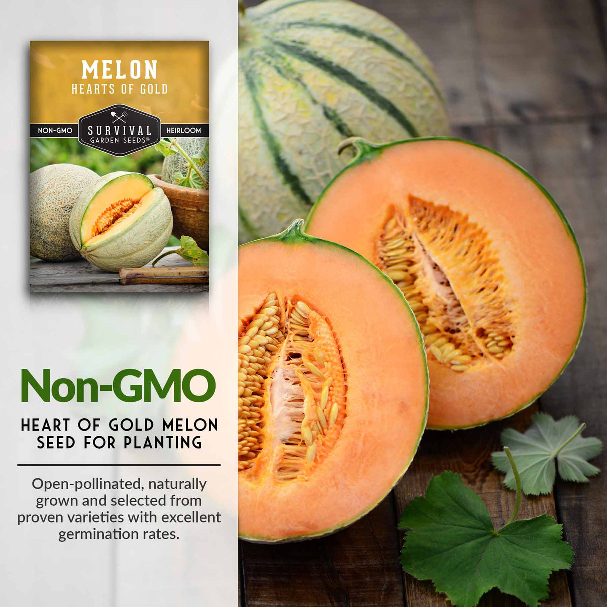 Non-GMO Melon