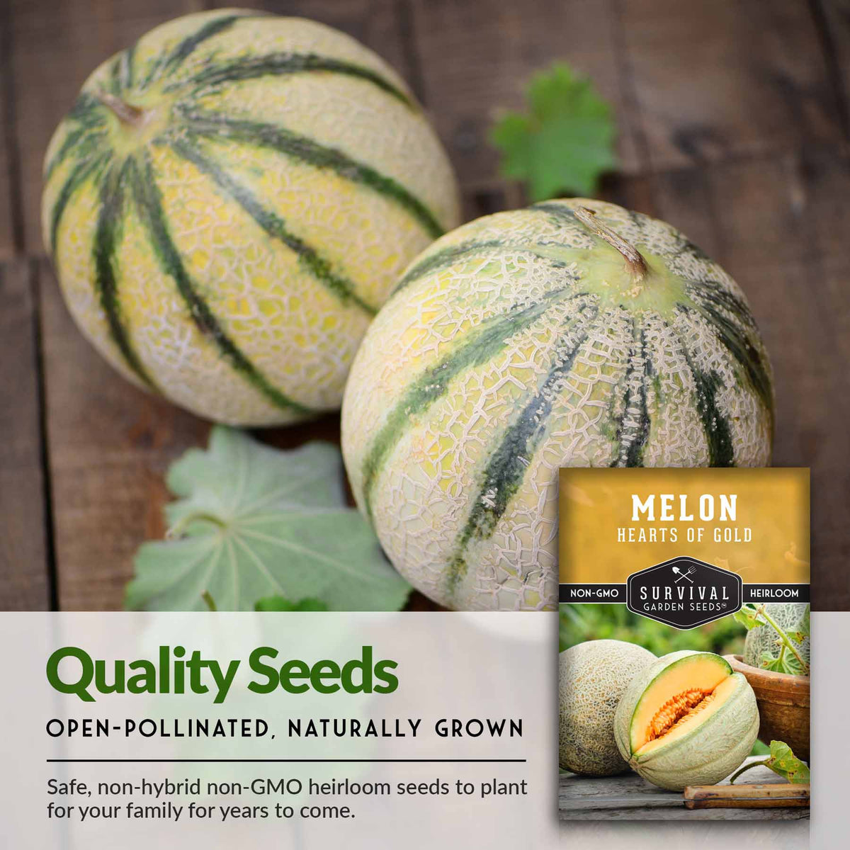 Quality Melon Seeds