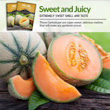 Sweet & Juicy Melon Seeds