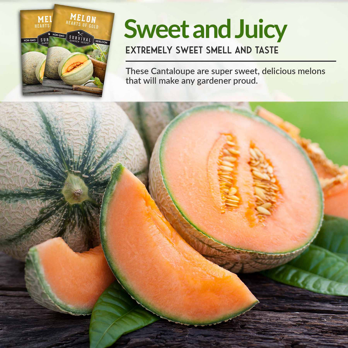 Sweet &amp; Juicy Melon Seeds