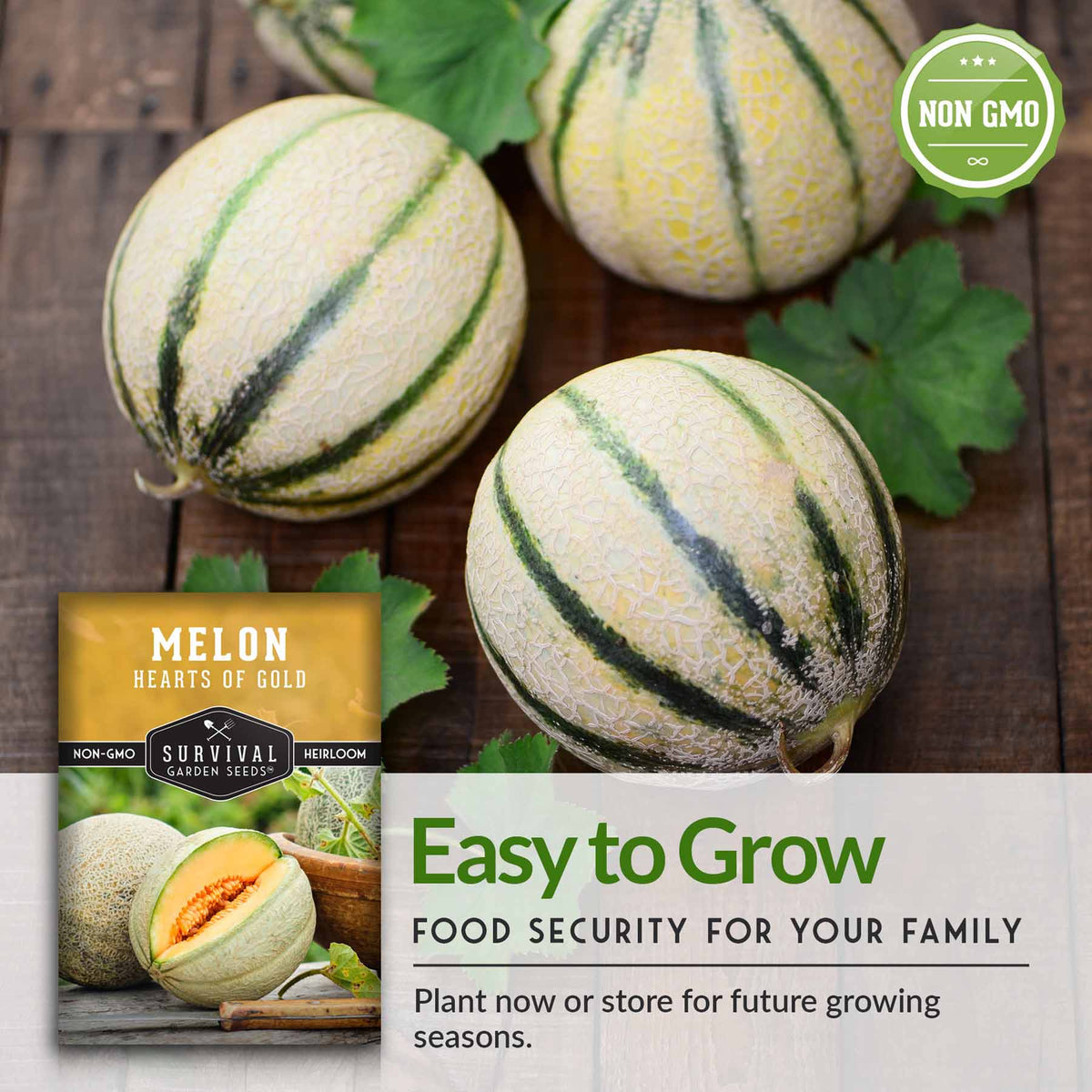 Melon is easy to grow
