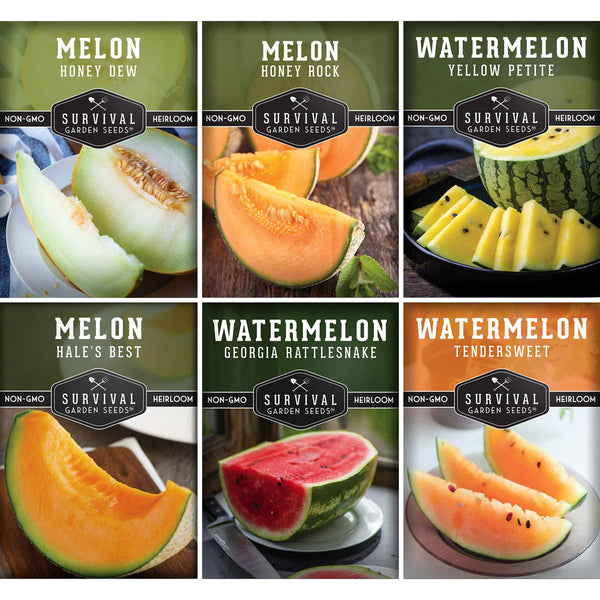 plant melon seeds Melon Seed Collection