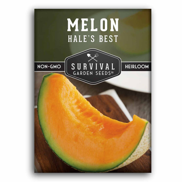 1 Packet of Hale's Best Melon Seeds