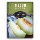 Honeydew Melon seeds