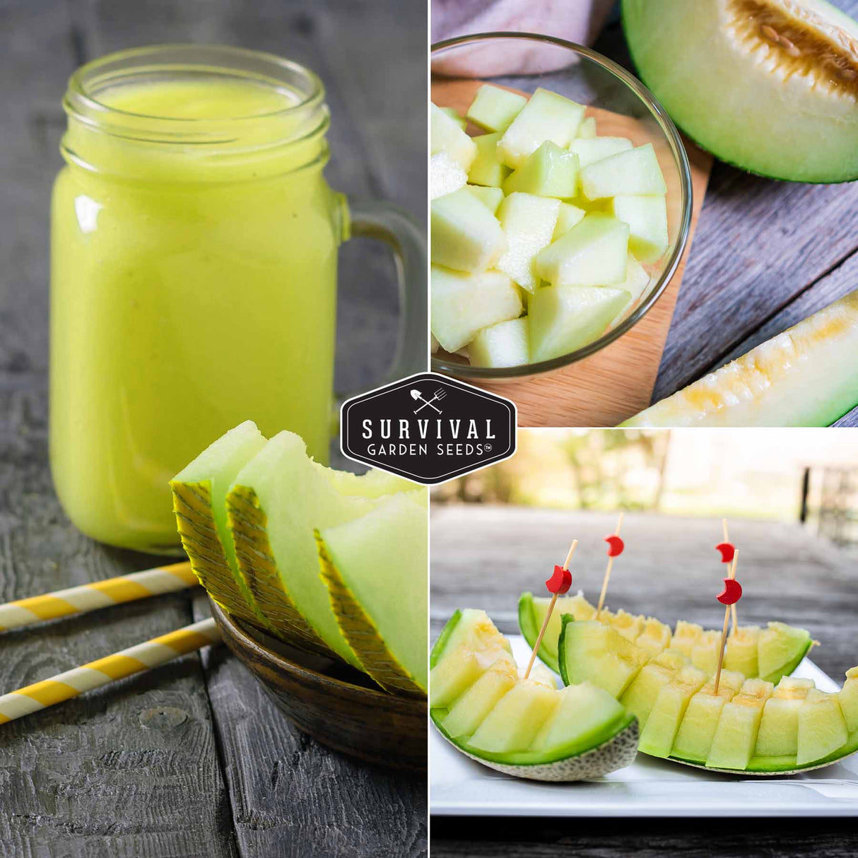 honeydew melon