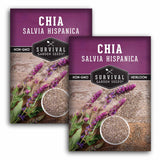 2 Packets of Mexican Chia seeds