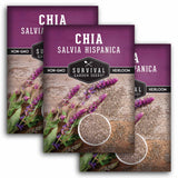 3 Packets of Mexican Chia seeds