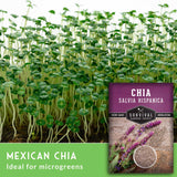 Mexican Chia - ideal for microgreens