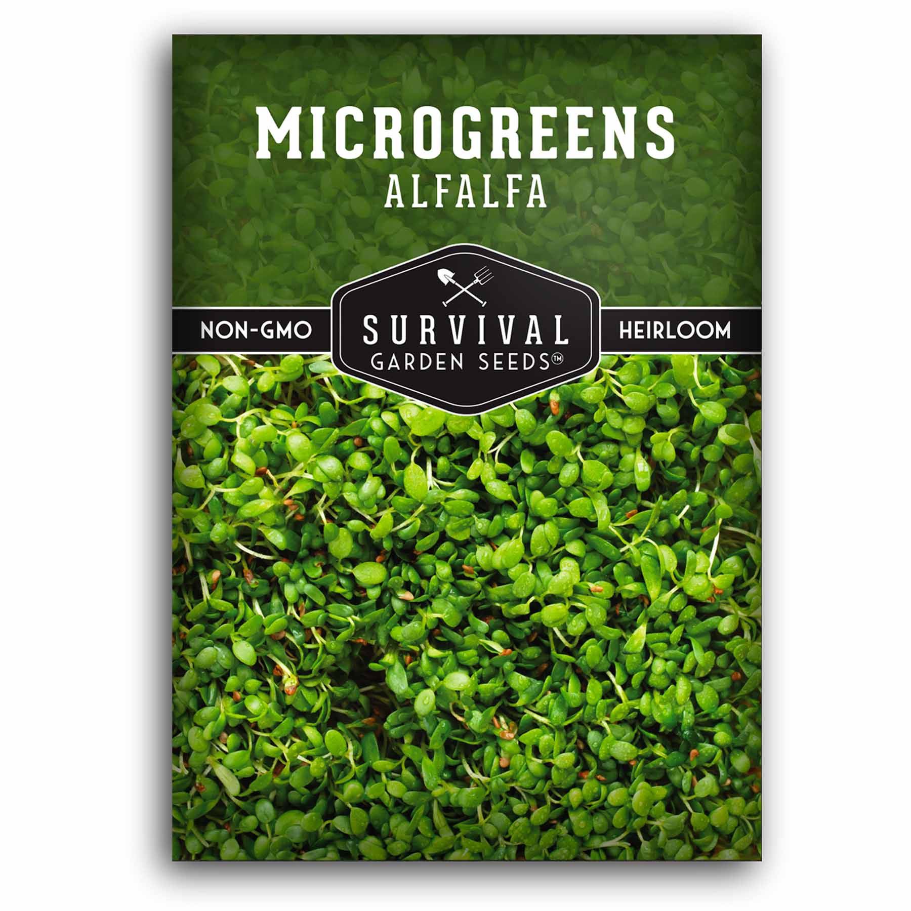 alfalfa Microgreens-Alfalfa-01.1.jpg?v