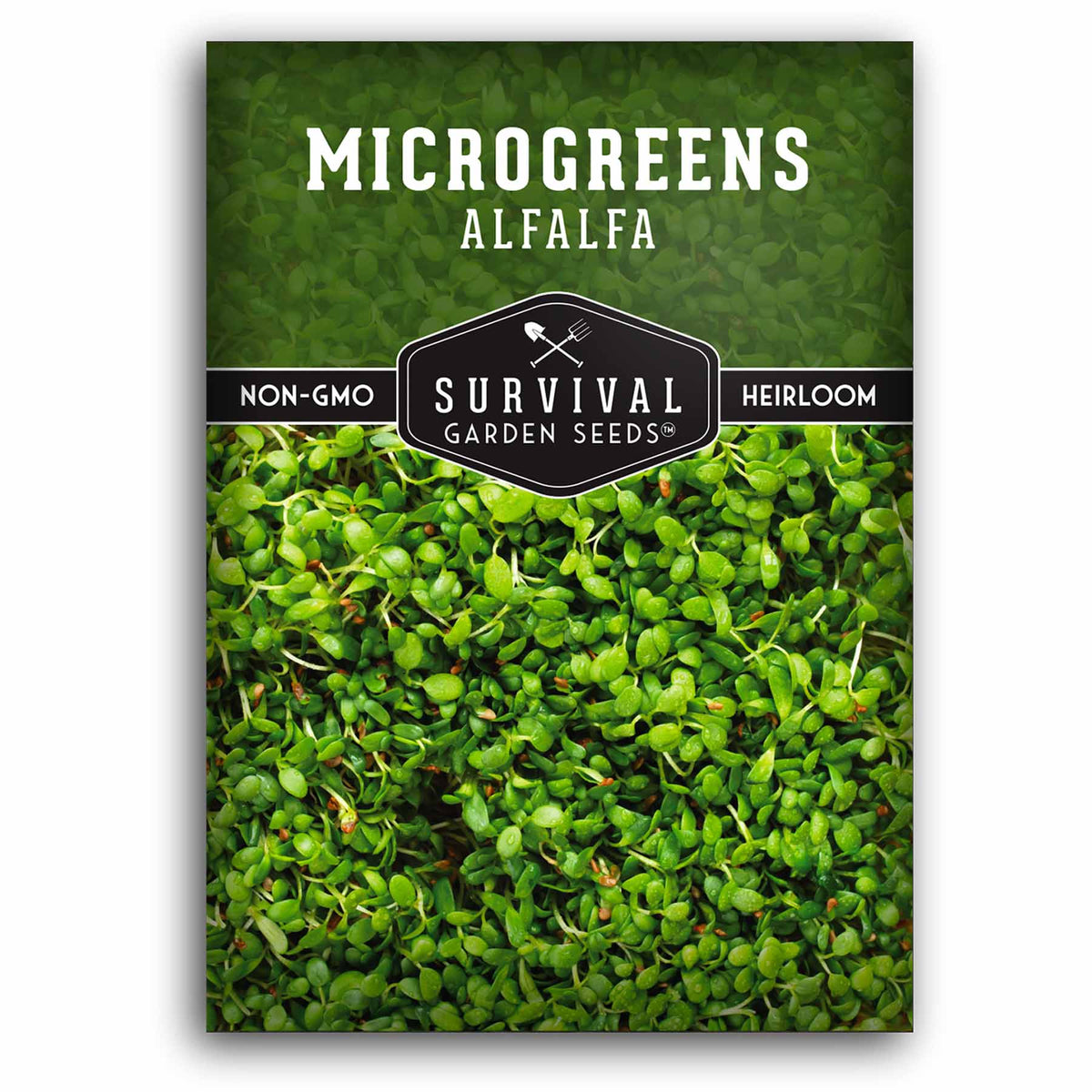 1 packet of Alfalfa Microgreens seeds