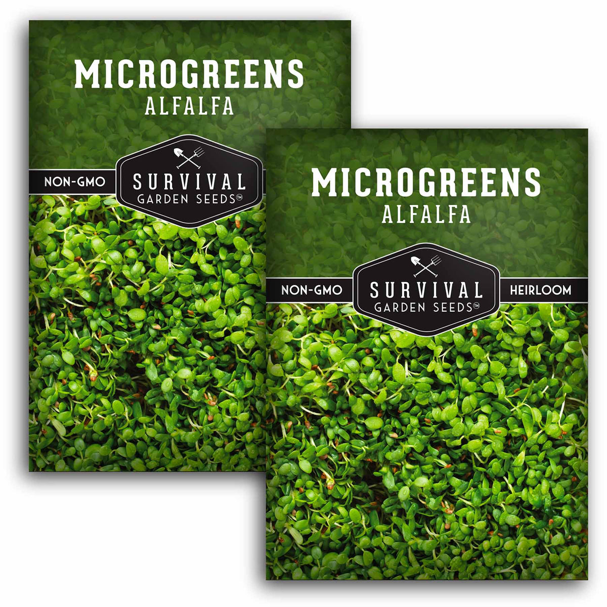 2 packets of Alfalfa Microgreens seeds