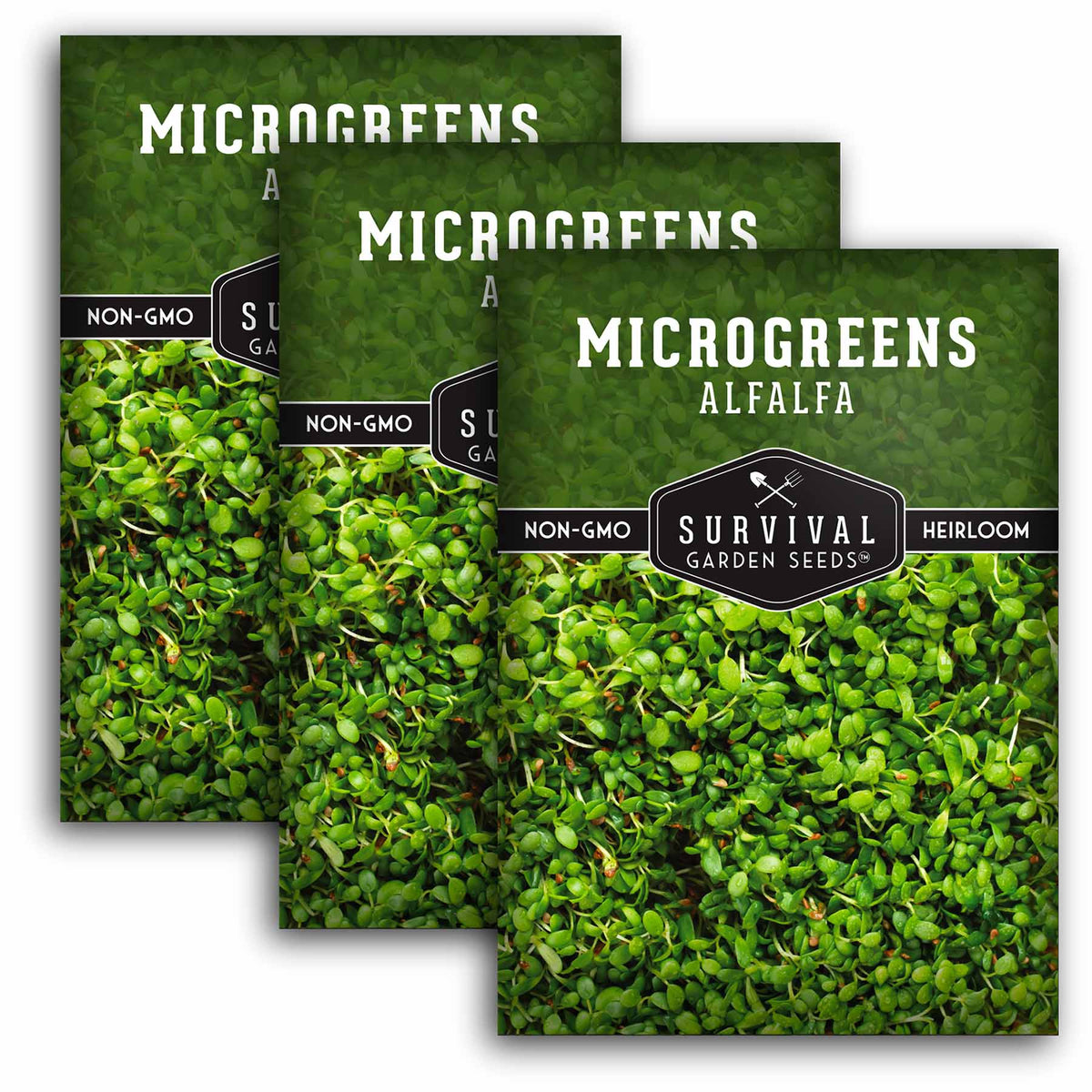 3 packets of Alfalfa Microgreens seeds