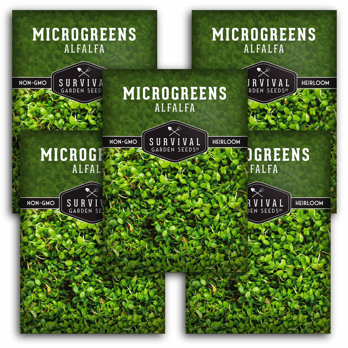 5 packets of Alfalfa Microgreens seeds