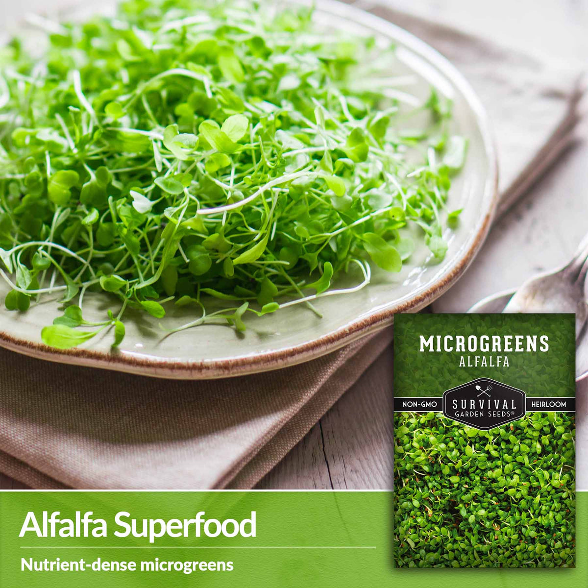 Alfalfa superfood - Nutrient-dense microgreens