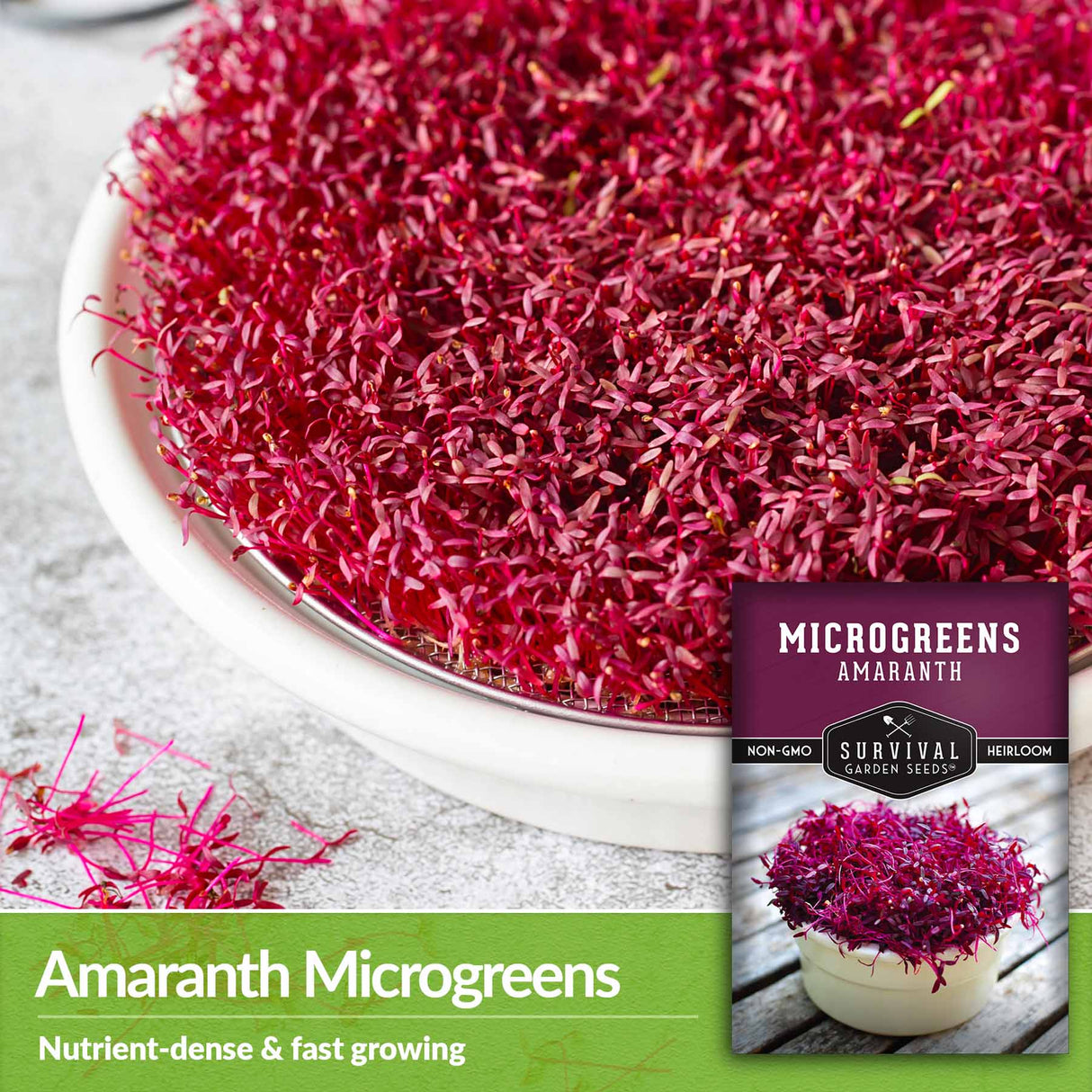 Amaranth microgreens - nutrient dense & fast growing