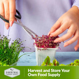 Harvest and store your own food supply