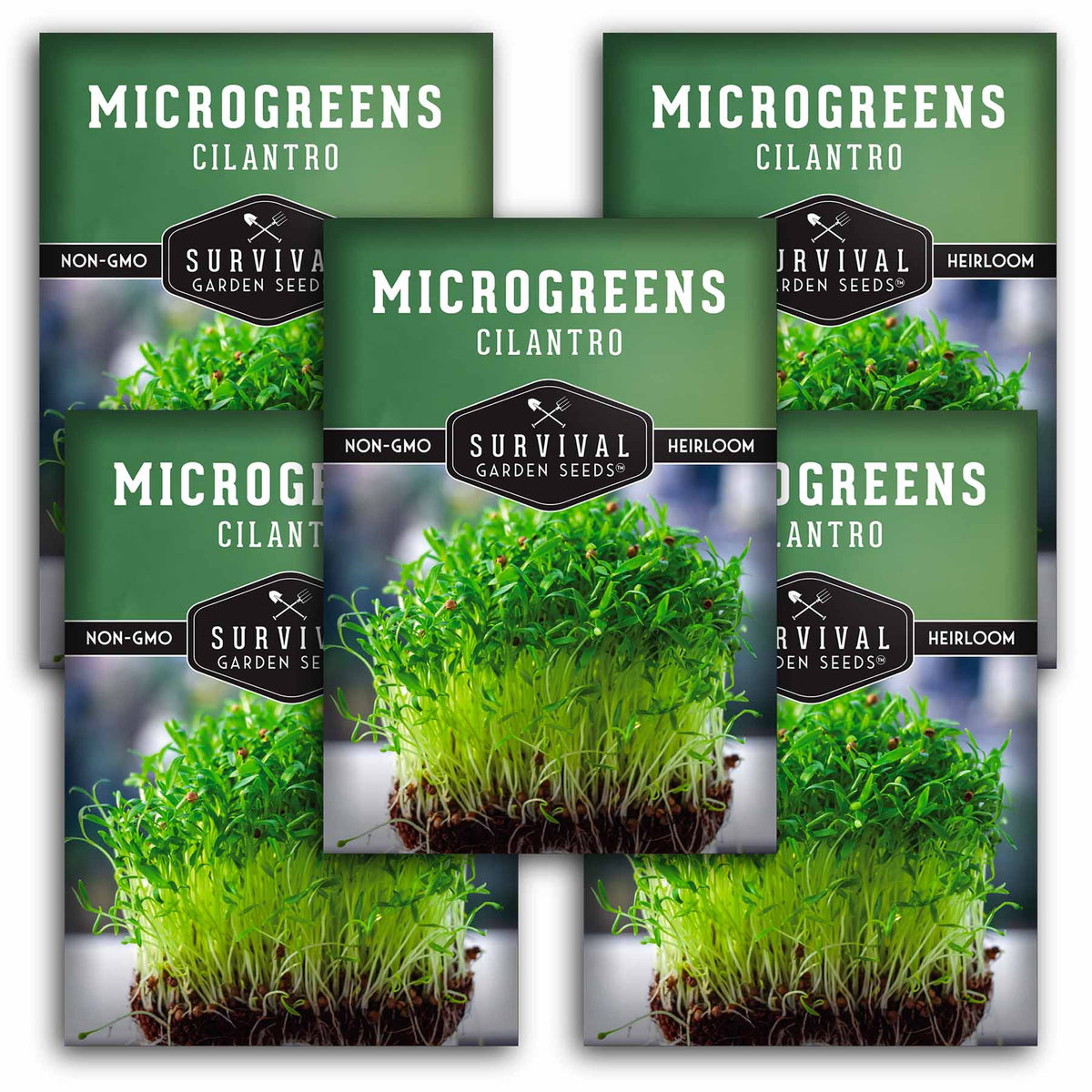 5 packets of Cilantro Microgreens seeds