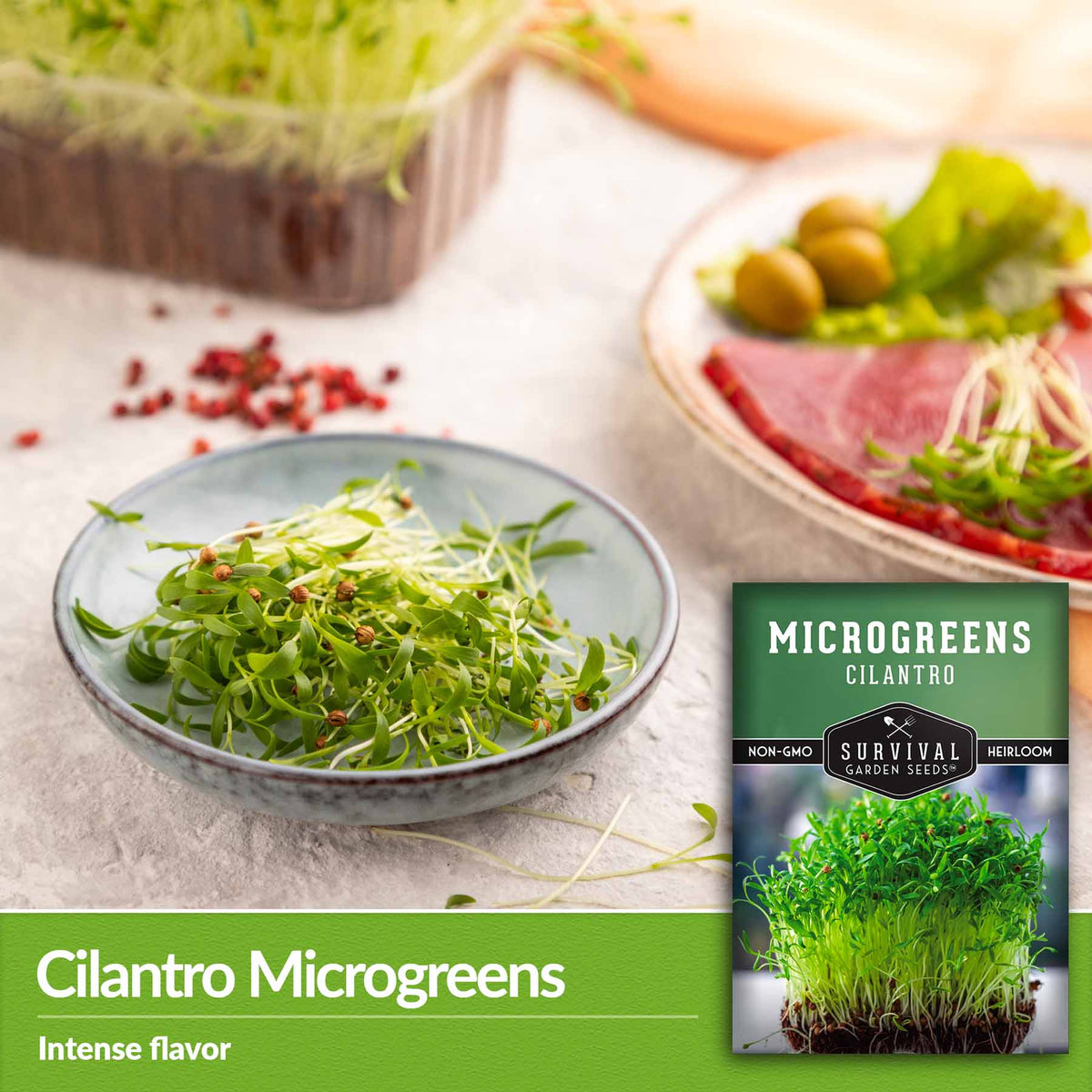 cilantro microgreens - intense flavor