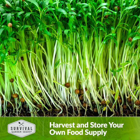 harvest and store your own food supply